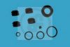 AUTOFREN SEINSA D4318 Repair Kit, brake caliper